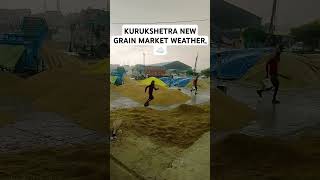 KURUKSHETRA NEW GRAIN MARKET WEATHER BARISH KA MAUSAM [upl. by Sonafets]