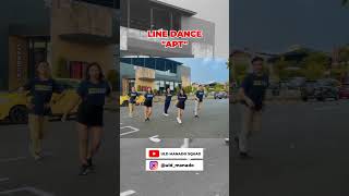 APT  LINE DANCE linedance apt linedanceindonesia dancechallenge [upl. by Eiromem291]