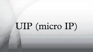 UIP micro IP [upl. by Auhsuoj155]