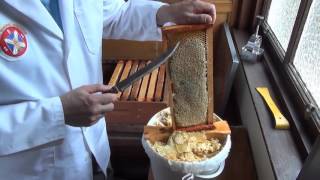 Beginner Beekeeping Ep 1  The difference between a Flow™ Hive and a Langstroth hive [upl. by Riek]