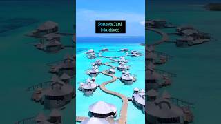 Soneva Jani Maldives😱🏄🏖️🏊MaldivesWorld Most Luxurious Resortshorts viral trending youtube yt [upl. by Osrock]