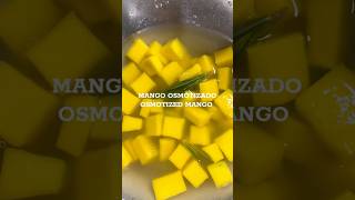 The Osmosis Technique Using Mango to Teach Science [upl. by Higginbotham]