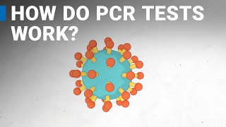 How do COVID19 tests work RTPCR explained [upl. by Gastineau]