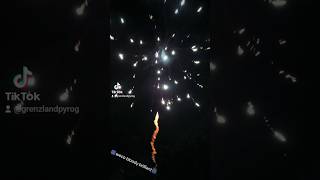 💥Weco bloody brilliant 😍 diwali fireworks fajerwerki silvester vuurwerk petardy böllerfire [upl. by Siwel893]