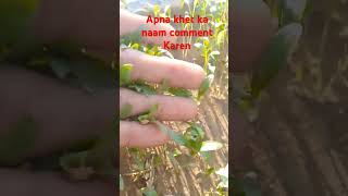 Apne gaon ka Naam comment mein likhen [upl. by Aylsworth]