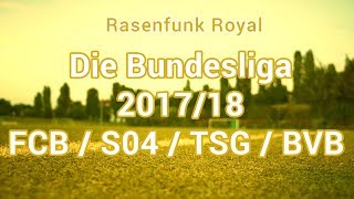 Rasenfunk Royal 1 von 6  Saisonbilanz FC Bayern Schalke 04 Hoffenheim Dortmund [upl. by Maxama]