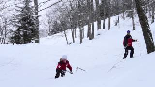 Pansy Division  Alpine Skiing [upl. by Gonzalez]