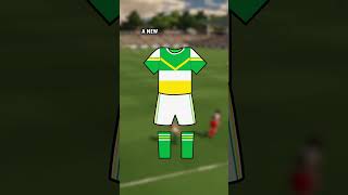 Offaly Kit County Colours Gaelic Football amp Hurling [upl. by Sac]