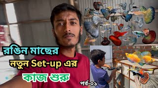 রঙিন মাছের নতুন সেটআপ  Aquarium fish farm in Bangladesh [upl. by Ramor]