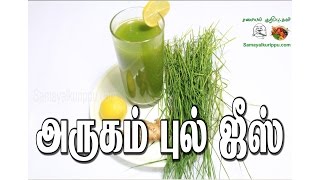 அருகம்புல் ஜூஸ்  Arugampul juice  Samyalkurippu [upl. by Annayd289]