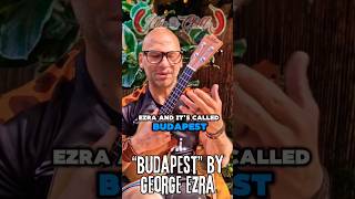 learn budapest on Ukulele by George Ezra [upl. by Kaasi26]