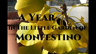 Winter Specials 202223 Gardeners World A Year in the Little Garden of Monfestino [upl. by Ahseena529]