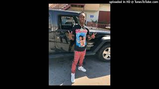 FREE FOR PROFIT Ynw Melly Type Beat  quotIce Coldquot [upl. by Nnylyrehc638]