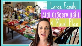 Large Family Aldi Grocery Haul amp Plan [upl. by Adis]