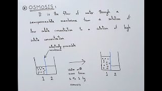 Osmosis and Osmotic Pressure  Solute  Water  Selectively Permeable Semipermeable Membrane [upl. by Eintruoc]