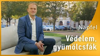 Így védhetjük meg a gyümölcsfákat a korai fagyástól  egyetem tv  Napfel [upl. by Ahsima]