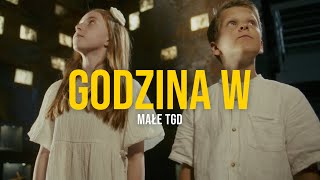 Małe TGD  Godzina W [upl. by Nilerual]