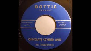 The Ambertones Chocolate Covered Ants [upl. by Nomma]