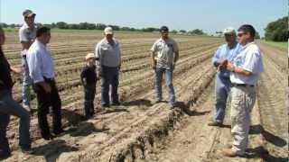 Louisiana Sugarcane Farmer  Americas Heartland [upl. by Garry]