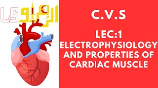 CVS 1st lec electrophysiology and properties of cardiac muscles [upl. by Rosina]