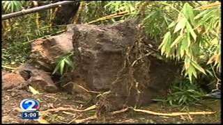 Boulders come crashing down in Kalihi Hawaii Kai [upl. by Woo973]