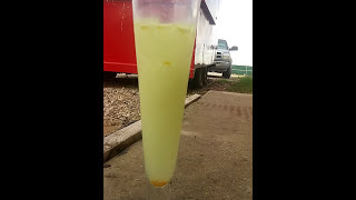 Nitrogen trichloride [upl. by Jerald]