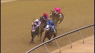 TIMONIUM 08 30 2024 RACE 7 [upl. by Nylsej]