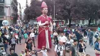 ALDE ZAHARREKO ERRALDOIAK ALDAPAKO SANFERMINETAN 2014 GIGANTES DEL CASCO VIEJO SAN FERMIN TXIKI [upl. by Shorter]