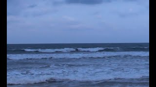 Lacanau Surf Report HD  Dimanche 17 Novembre  7H50 [upl. by Ladiv]