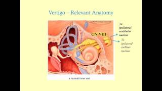 Dizziness and Vertigo  CRASH Medical Review Series [upl. by Eisse]