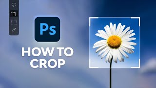 How to Crop in Photoshop [upl. by Naynek]