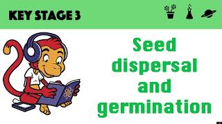 Germination and seed dispersal [upl. by Hedaza694]