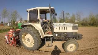 GoPro Semina mais Corn sowing Lamborghini GaspardoCT Zorzi L [upl. by Messab274]