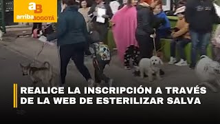 El Distrito reactiva las jornadas de esterilización y vacunación de mascotas  CityTv [upl. by Anasiul]