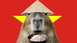 Vietnamese Capybara [upl. by Radferd237]