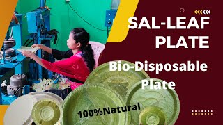 SalLeaf Plate Manufacturing in Udala I BioDisposable Plate I Eco Friendly Disposable Plate [upl. by Ynohtnakram]