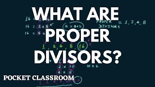 What Are Proper Divisors  Grade 6 [upl. by Kaz]