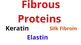 Fibrous Proteins KeratinElastinSilk Fibroin [upl. by Yug]