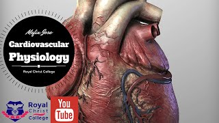 Cardiovascular Physiology Factors affecting Cardiac output Heart rate  Stroke volume Preload [upl. by Nairrad916]