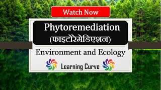 Phytoremediation  Types  Phytoextraction Phytodegradation Etc  Bioremediation  in Hindi  upsc [upl. by Harlie]