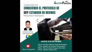 CHARLA CONOCIENDO EL PROTOCOLO DE IATF ESTANDAR EN BOVINOS [upl. by Kenweigh]