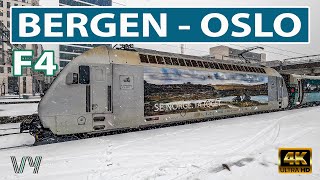 🇳🇴 The Bergen Line  train journey from Bergen to Oslo [upl. by Rosemare130]