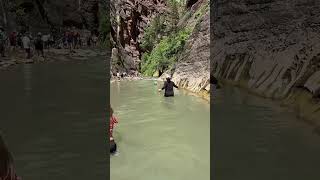 narrows zionnationalpark [upl. by Landre]