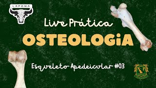 3ª Live Prática de Anatomia Descritiva I 20242 membro toracico [upl. by Myrta]