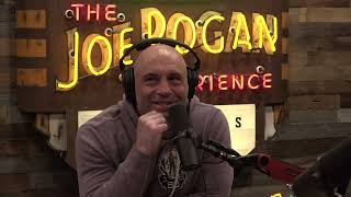 Joe Rogan Experience 1835  Mike Judge [upl. by Leopoldeen356]