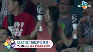 20130623 CPBL 象 VS 猿 花絮 比賽暫停 辛苦的工作人員和依舊熱情的球迷 [upl. by Drida362]