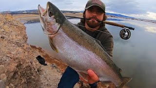 BIGGEST TROUT I’VE CAUGHT AND COOKED Fly Fishing [upl. by Yleve302]