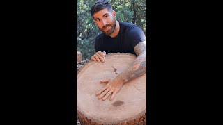 Lets look inside the wet piece of wood 👀 wood firewood woodsplitting [upl. by Enellek]