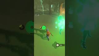 I think nacho found a new weapon😂 nintendo botw gaming funny nacholibre [upl. by Meares]