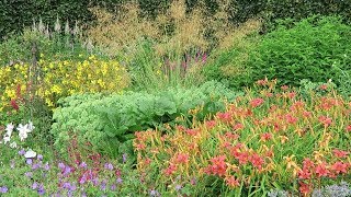 SUMMER FLOWER COLOUR IN A HERBACEOUS BORDER [upl. by Ddot341]